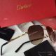 2017 Replica Cartier Sunglasses - Exact Replica (3)_th.jpg